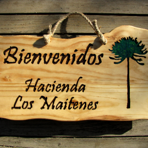 Letrero Personalizado (copia)